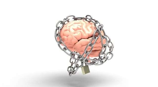brain-3446307_640 (1) secuelas del abuso narcisista